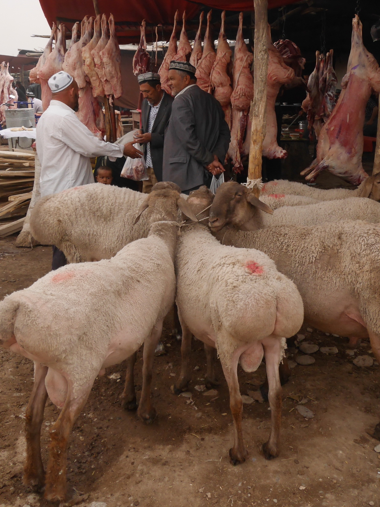 Xinjiang Sheep Market_resize