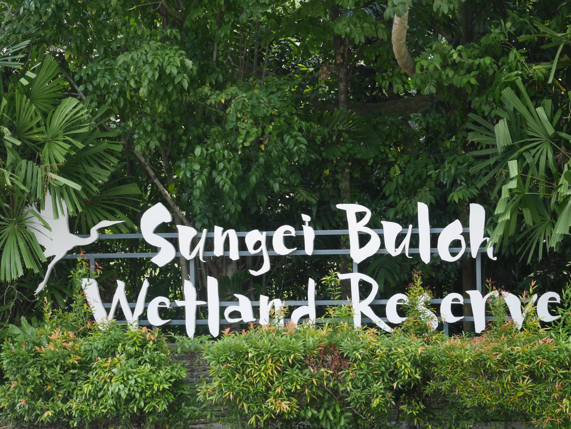Sungei Buloh Wetlands_9